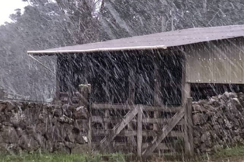 Brasil registra a primeira neve do ano com temperaturas negativas