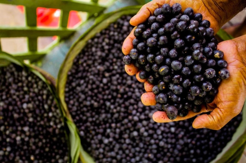 Após críticas, organização libera alimentos típicos do Pará no cardápio da COP30