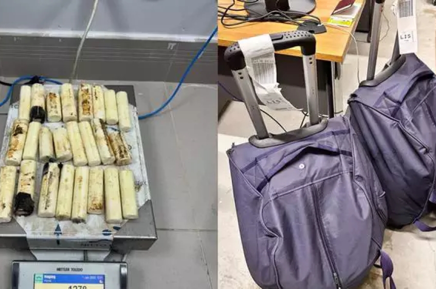 PF prende colombiana com cocaína escondida em malas no Aeroporto de Belém