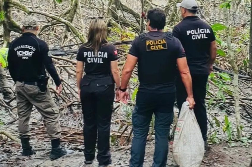 Polícia Civil e ICMBio apreendem 140 kg de caranguejo-uçá