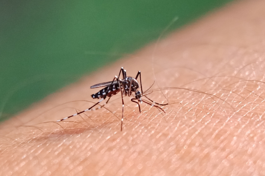 Primeira morte por dengue em 2025 é registrada no Rio: casos preocupam autoridades