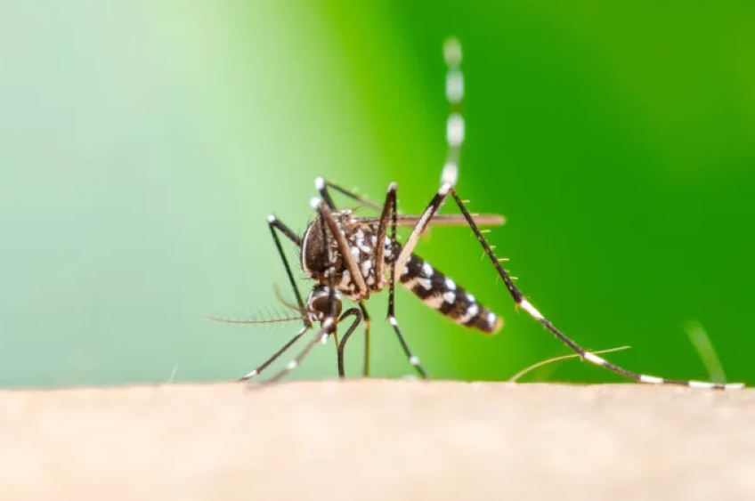 Tupã registra primeira morte por Chikungunya em São Paulo