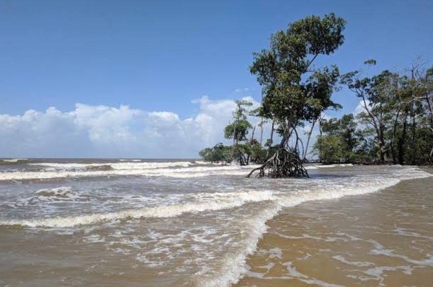 Praia de Soure é reconhecida como patrono cultural imaterial 