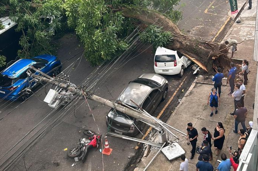 Em Belém árvore cai na Rua Dom Pedro e causa caos no trecho