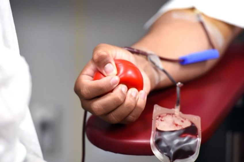 Hemopa expande unidades de coleta e registra aumento de 6% nas doações de sangue em 2024