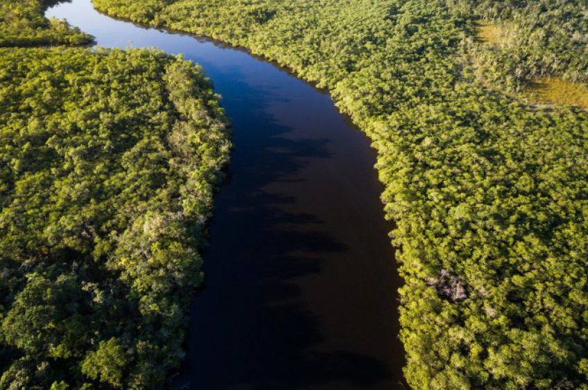 Noruega doou cerca de R$350 milhões de reais para Fundo Amazônia