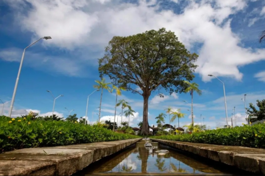  Parque Estadual do Utinga bate recorde de visitação com mais de 8,3 mil visitantes em um único dia