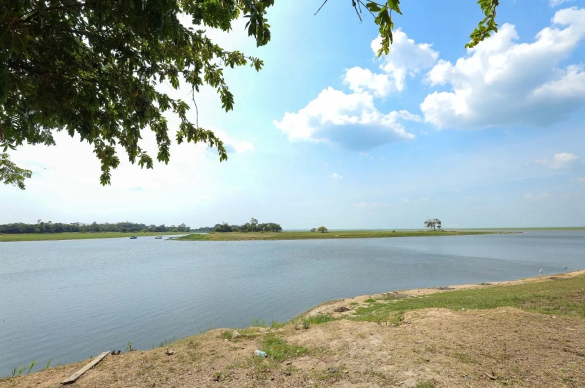 Semas aponta causas climáticas para a morte de peixes em Santarém