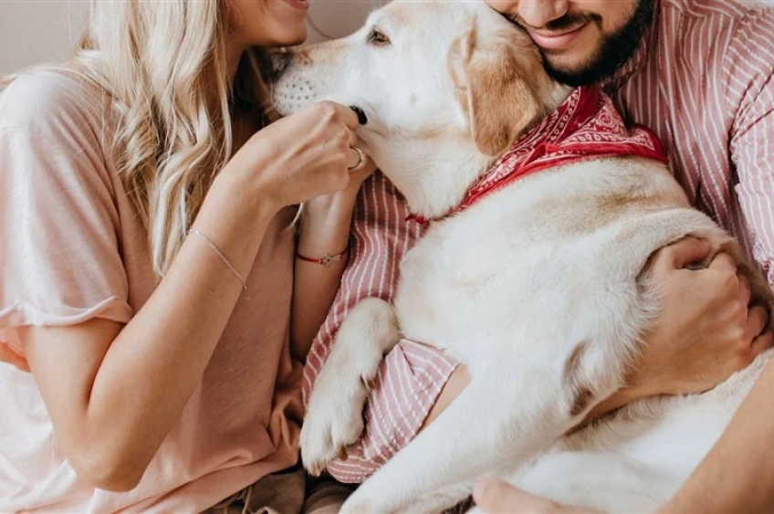 Nova lei: como funciona a guarda compartilhada de pets após o divórcio