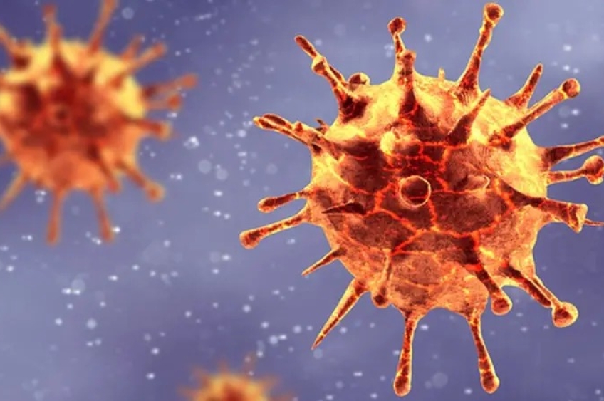 Mais de 20 cepas de vírus foram transportadas sem autorização em furto na Unicamp