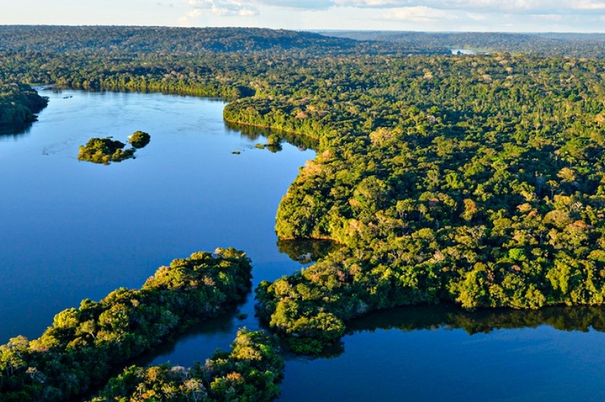 Fiepa reúne autoridades para discutir a agenda sustentável durante a COP-30