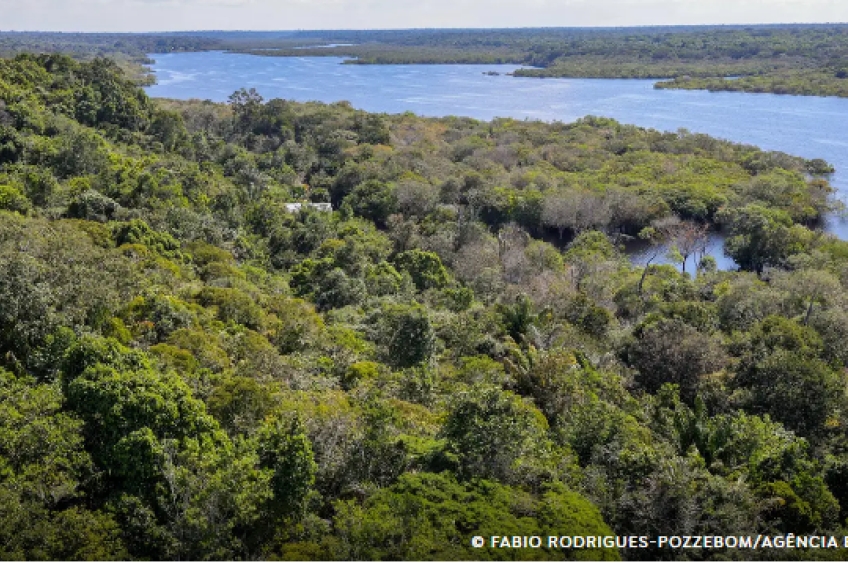 Inpe divulga queda de 30,6% do desmatamento na Amazônia em um ano