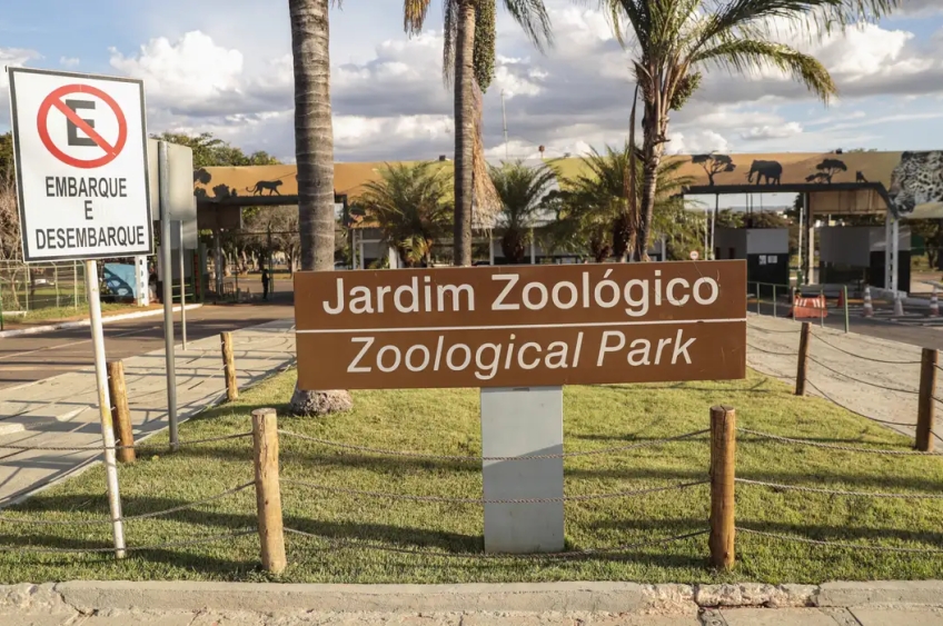 Brasília tem zoológico fechado após suspeitas de gripe aviária